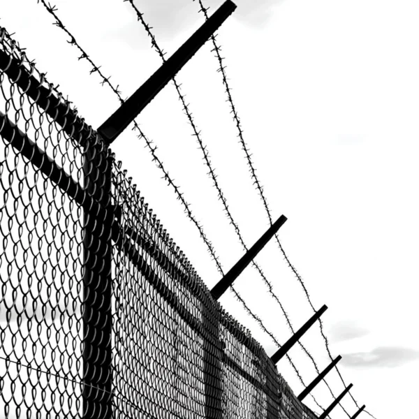 Barbed wire - Image 2