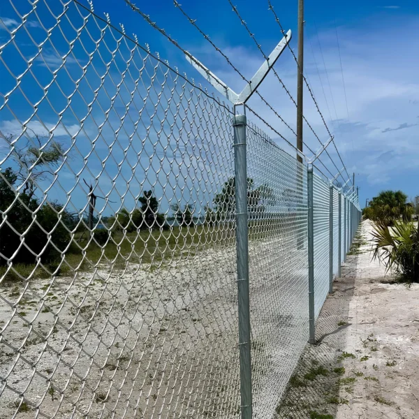 Barbed wire - Image 3